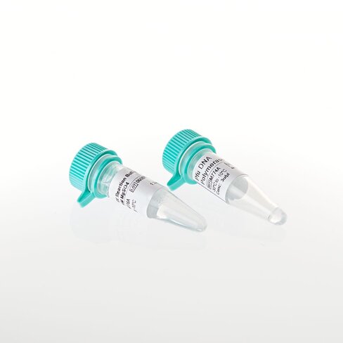 Pfu DNA Polymerase 100u 100u 100 unités