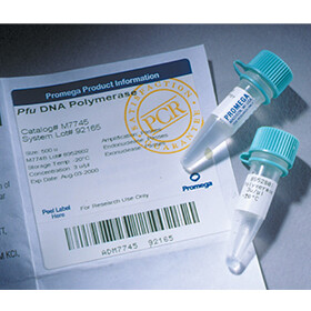 Pfu DNA Polymerase 500u 500u 500 unités