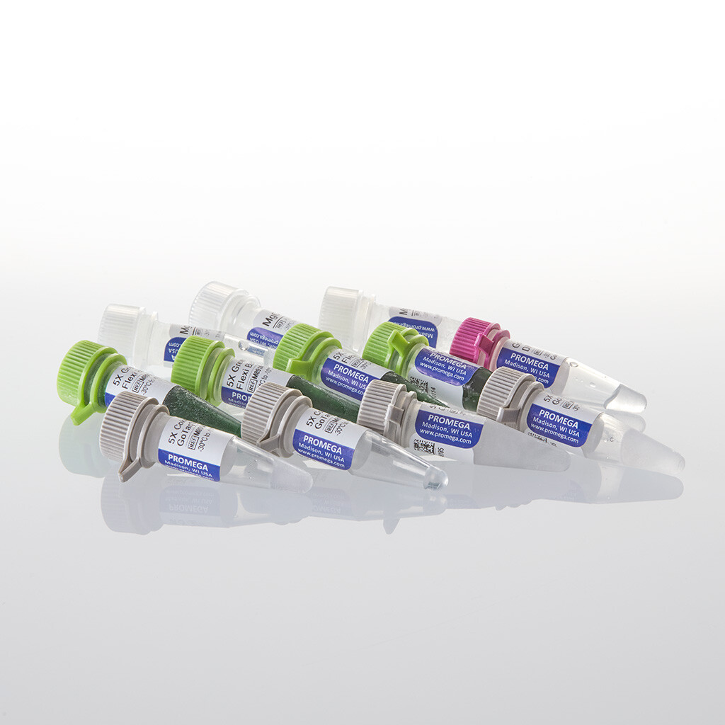 GoTaq G2 Flexi DNA Polymerase 500u 500u 500 unités