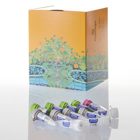 GoTaq G2 Flexi DNA Polymerase 2,500u 2500u 2500 unités