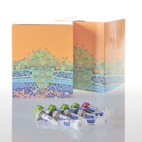 GoTaq G2 Flexi DNA Polymerase 10,000u 10000u 10000 unités