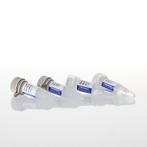 GoTaq G2 Colorless Master Mix 100 reactions