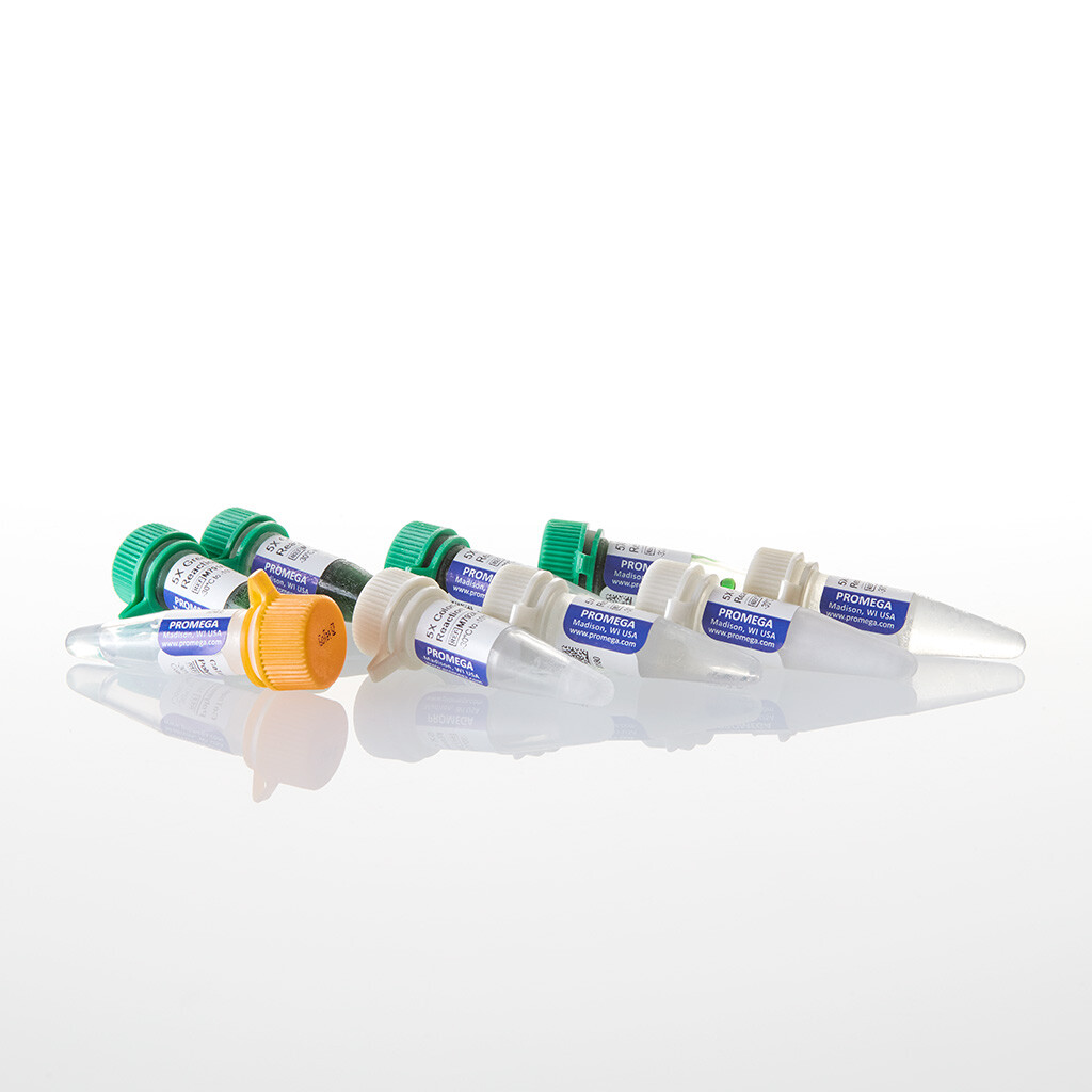 GoTaq G2 DNA Polymerase 500u 500u 500 unités