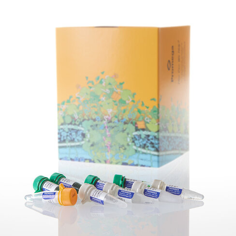 GoTaq G2 DNA Polymerase 2,500u 2500u 2500 unités