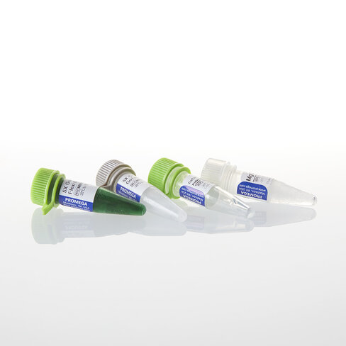 GoTaq Flexi DNA Polymerase 100u 100u 100 unités