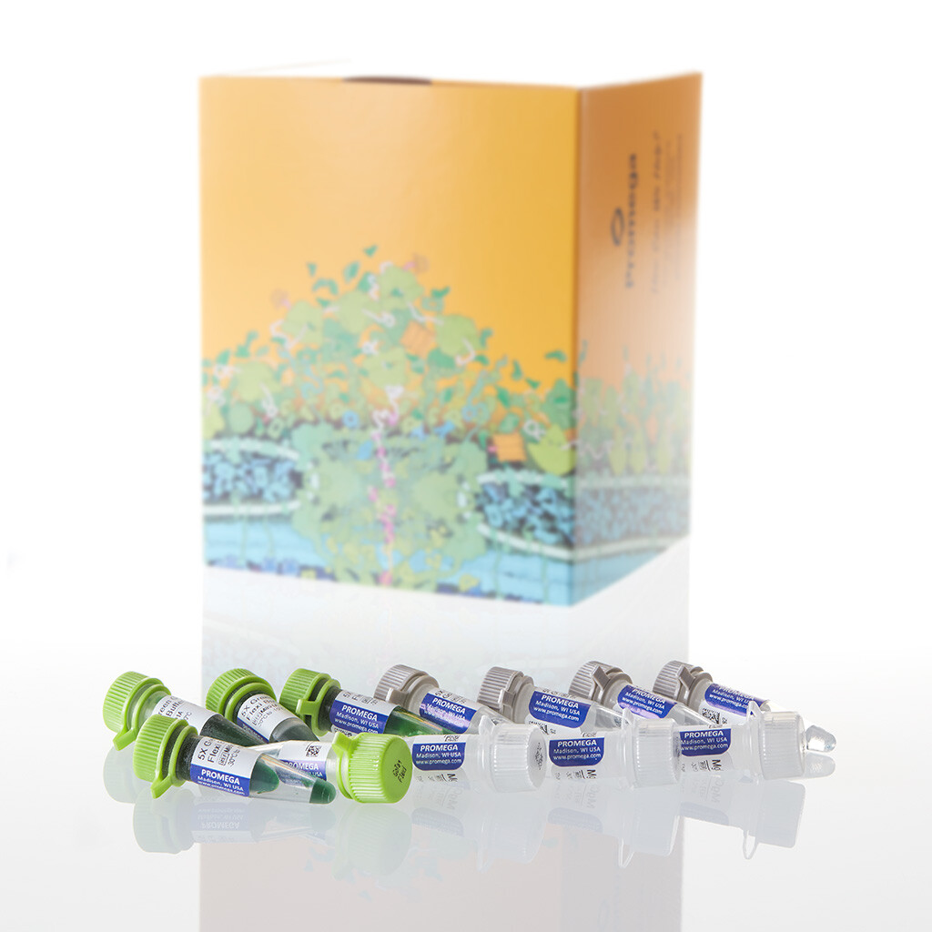 GoTaq Flexi DNA Polymerase 2500u 2500u 2500 unités