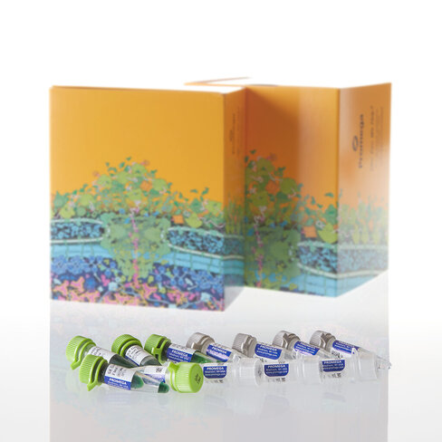 GoTaq Flexi DNA Polymerase 5000u 5000u 5000 unités