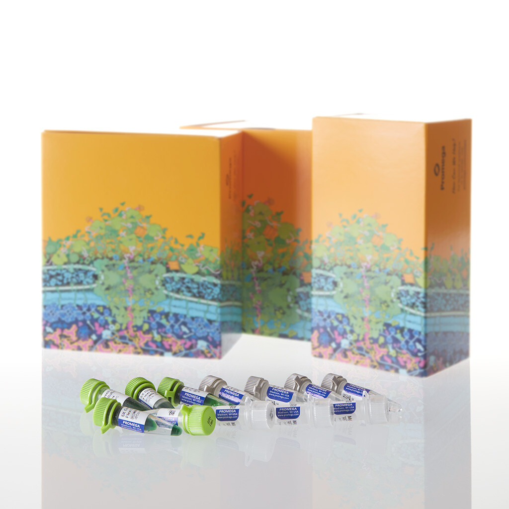 GoTaq Flexi DNA Polymerase 10,000u 10000u 10000 unités