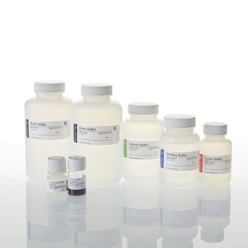 MagaZorb DNA Mini-Prep Kit 200 preps