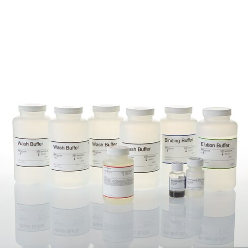 MagaZorb DNA Mini-Prep Kit 800 preps