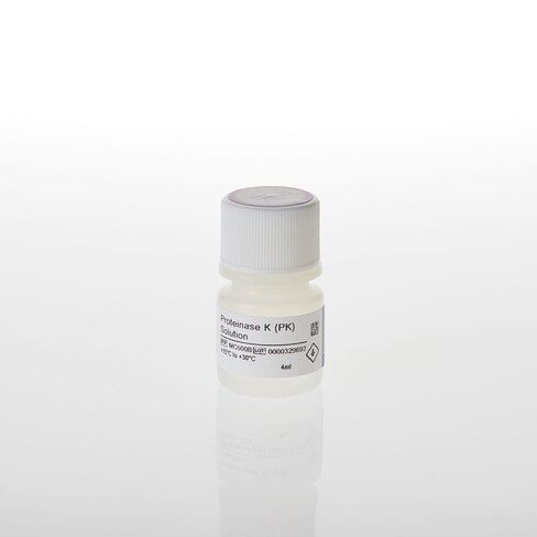 Proteinase K (PK) Solution 4 ml
