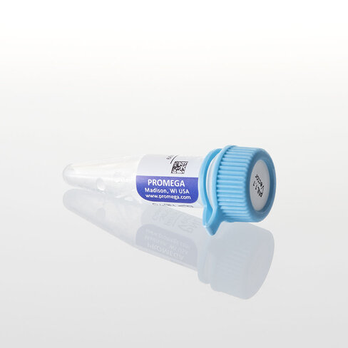 PNL3.2 [NlucP/minP] Vector