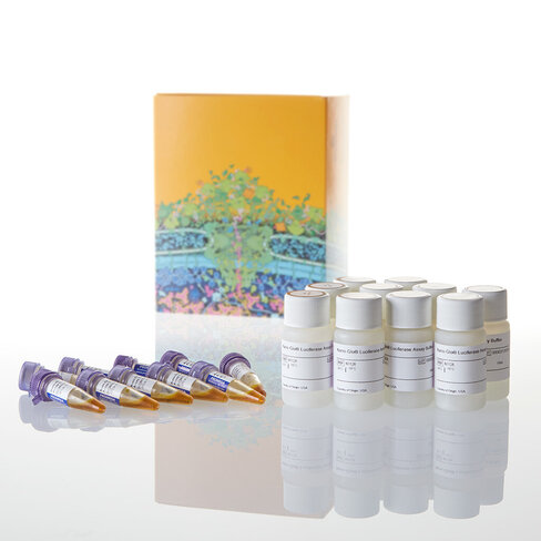 Nano-Glo Luciferase Assay 100 mL