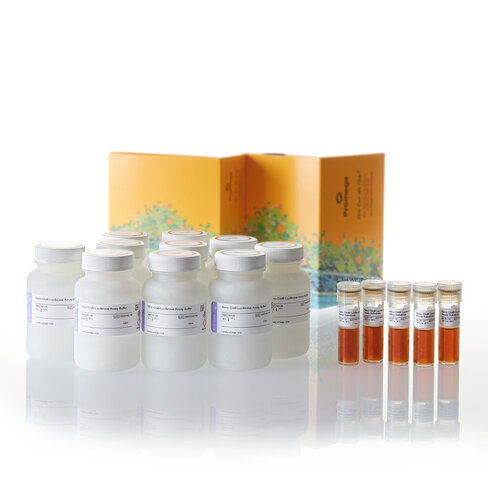 Nano-Glo Luciferase Assay 1000 mL