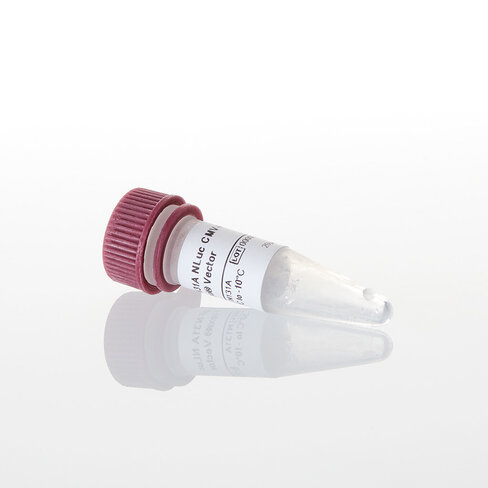 PFN31A NLuc CMV-Hygro Flexi Vector