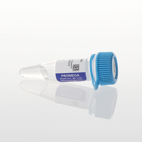 PFC32K NLuc CMV-neo Flexi Vector