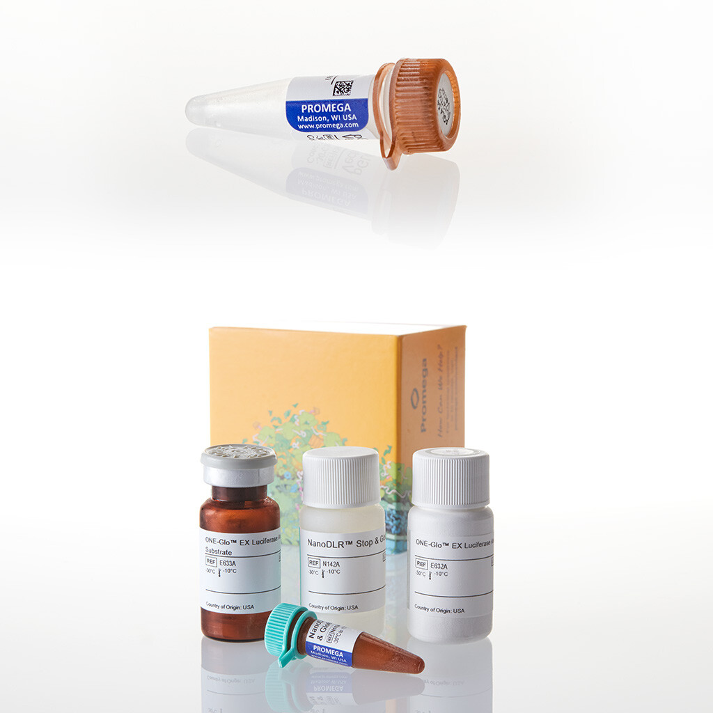 Nano-Glo Dual-Luciferase Reporter Assay/pGL4.53[luc2/PGK] Bundle 1 each