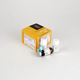 Nano-Glo Dual-Luciferase Reporter Assa 10 mL