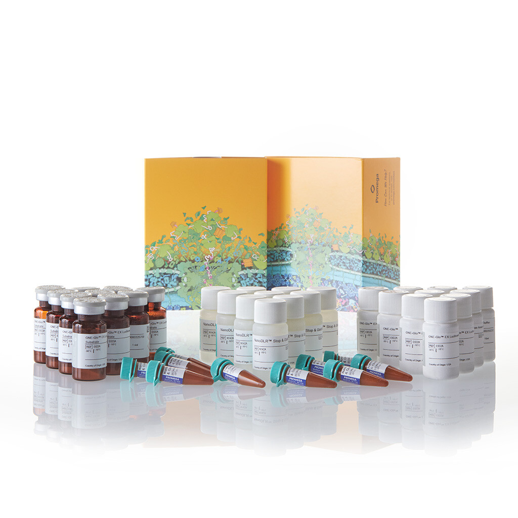 Nano-Glo Dual-Luciferase Reporter Assa 100 mL