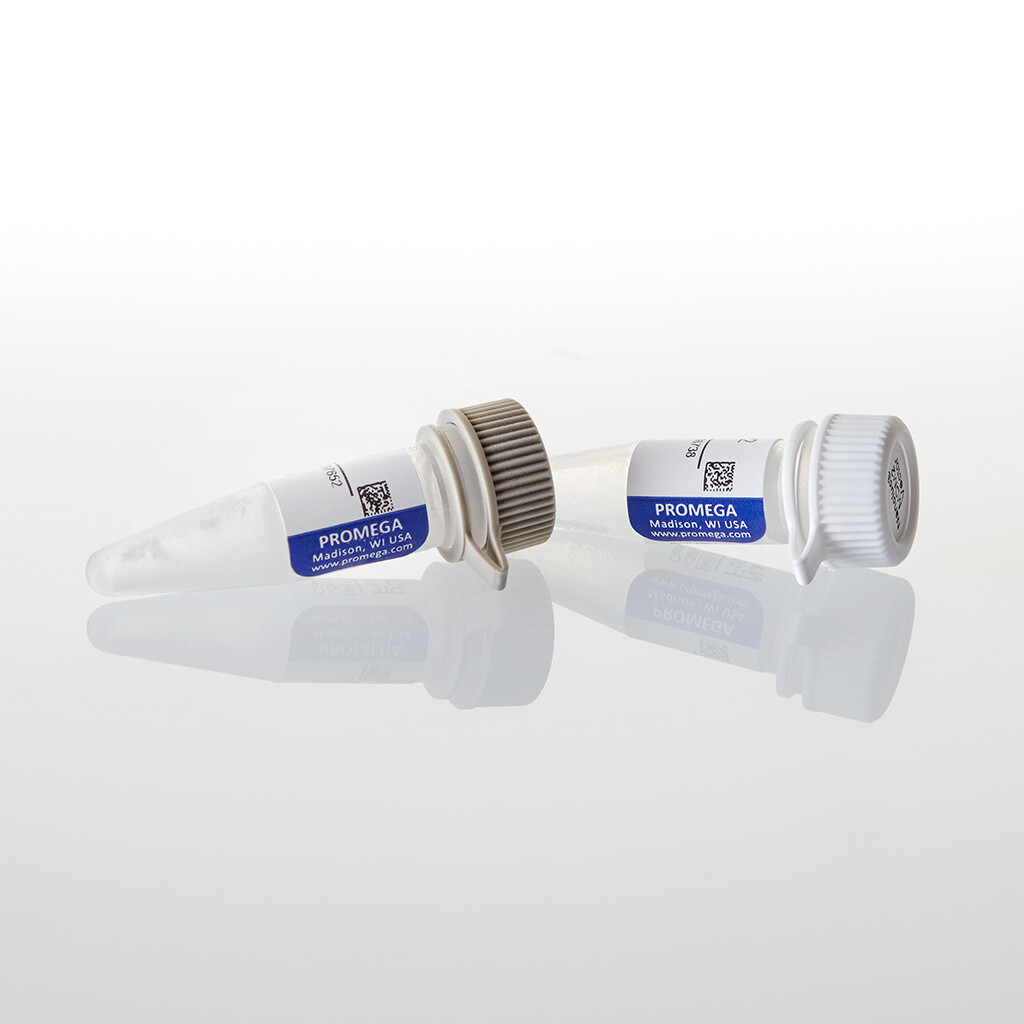 NanoBRET PPI Control Pair (p53,MDM2) 40 µg