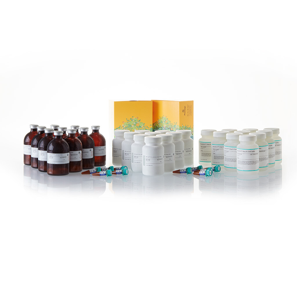 Nano-Glo Dual-Luciferase Reporter Assay System 10x100 ml