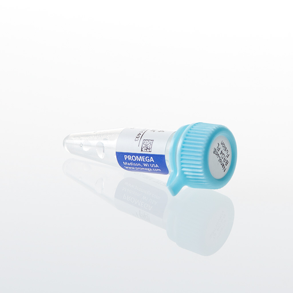 NanoLuc -BRD4 FL Fusion Vector
