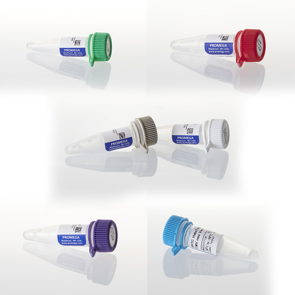 NanoBRET PPI MCS Starter System 1 each