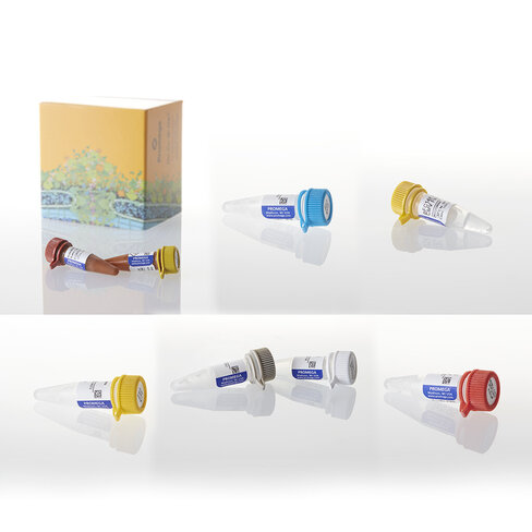 NanoBRET PPI Flexi Starter System 1 each