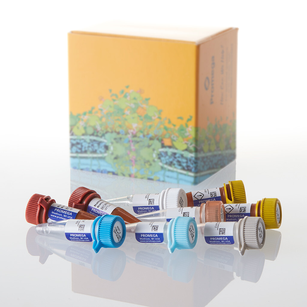 NanoBRET BRD4/H3.3 Interaction Asy