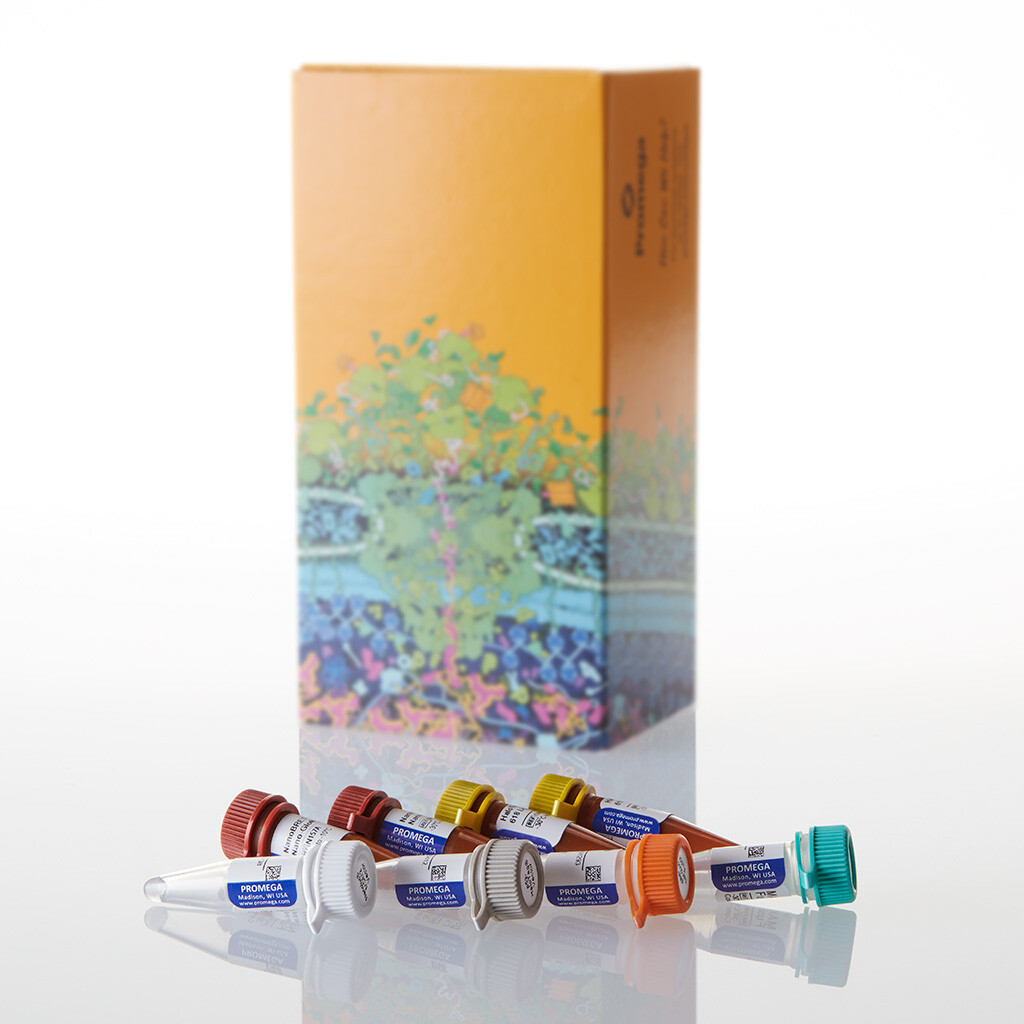 NanoBRET cMyc/MAX Interaction Asy