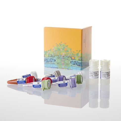 NanoBiT PPI MCS Starter System 1 reactions