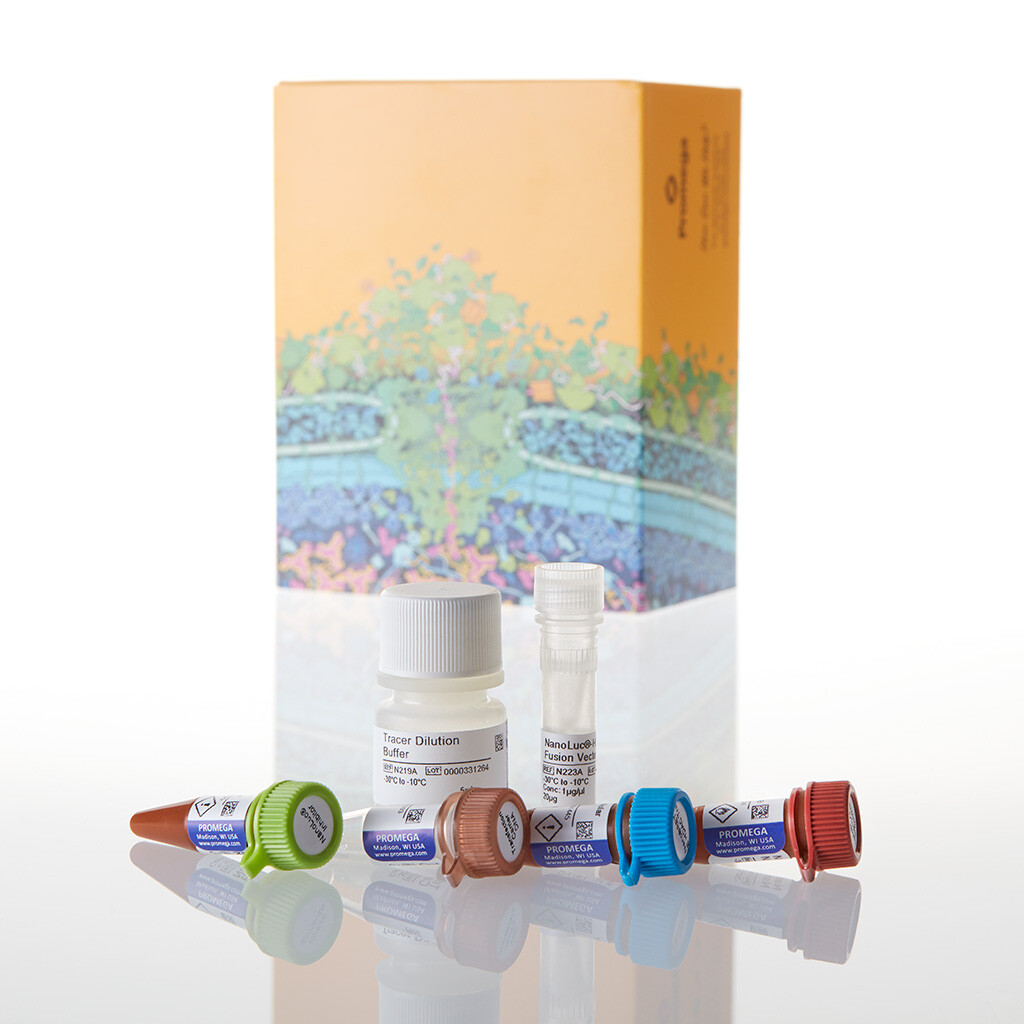 NanoBRET TE Intracellular HDAC As1000 1000tests 1000 tests