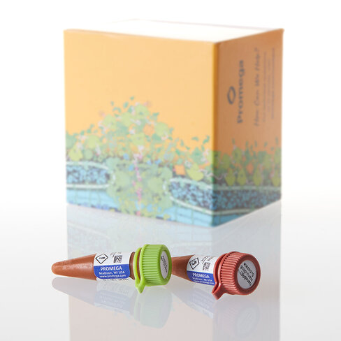 Intracellular TE Nano-Glo Substr/Inhib