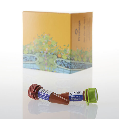 Intracellular TE Nano-Glo Subst/Inhibit