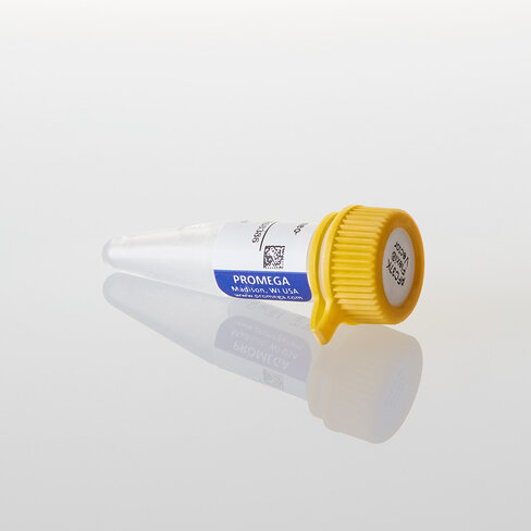 PFC37K HiBiT CMV-neo Flexi Vector