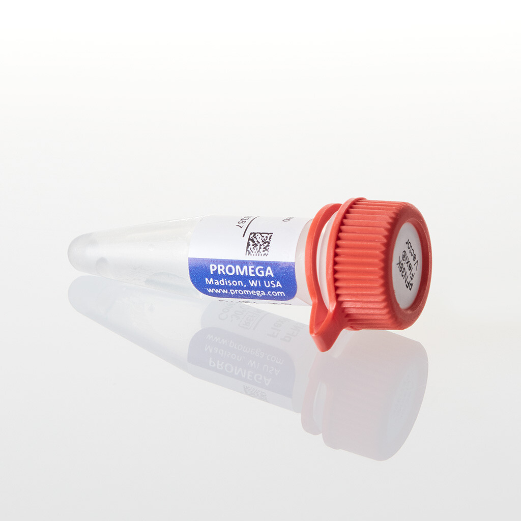 PFN38K HiBiT CMV-neo Flexi Vector