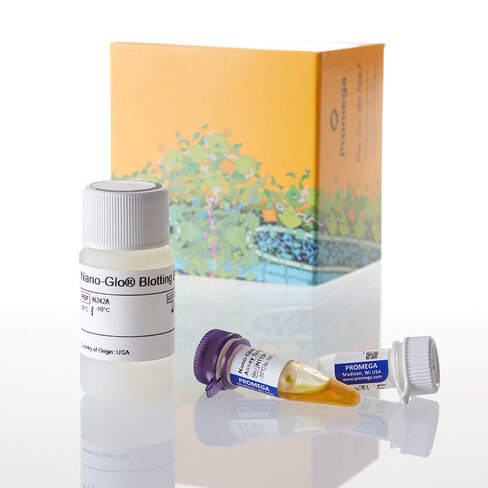 Nano-Glo HiBiT Blotting System 100 mL
