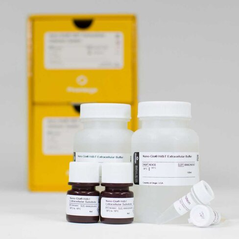 Nano-Glo HiBiT Extracellular Detection System (sufficient for 10,000 wells in 96-well plate) 10x100 ml