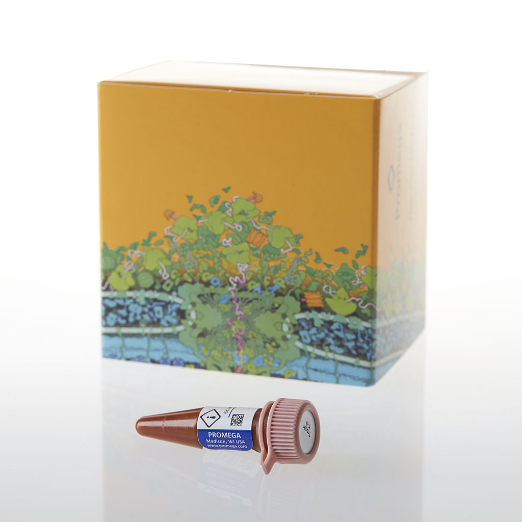 NanoBRET TE Tracer K-4, 300 µl