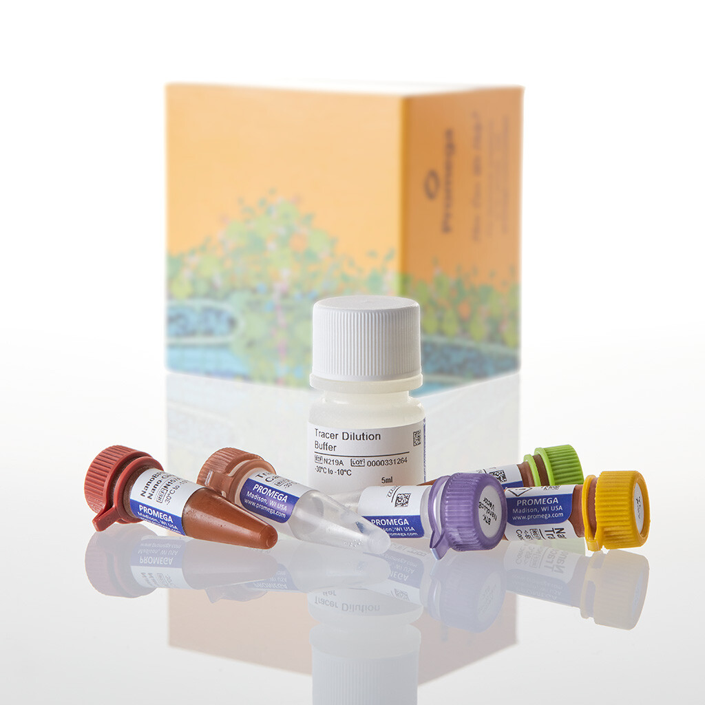 NanoBRET TE Intracellular Kinase Assay, K-5 100 tests