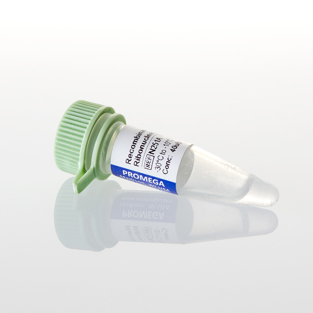 Rec. RNasin RNase Inhibitor 2,500u 2500u 2500 unités