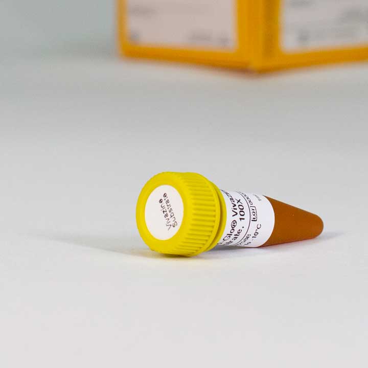 Nano-Glo Vivazine Live Cell Sub, 1 ml