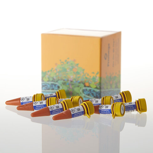 Nano-Glo Vivazine Live Cell Sub, 10 ml