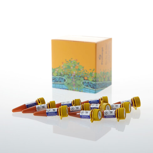 NanoBRET Nano-Glo Kinetic Detection System 10000 tests