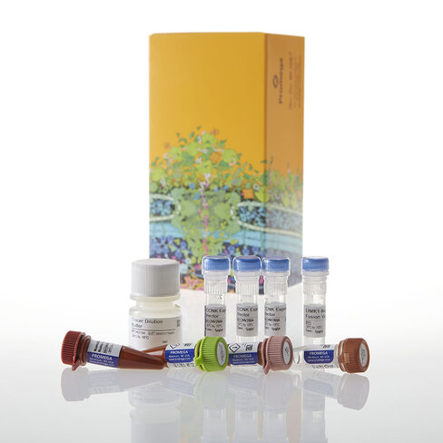 NanoBRET TE Intracell Kinase Assay K-3 100 tests