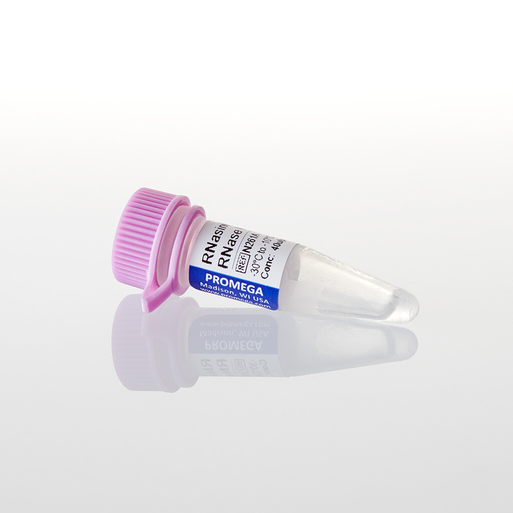 RNasin Plus RNase Inhibitor 2500u 2500u 2500 unités