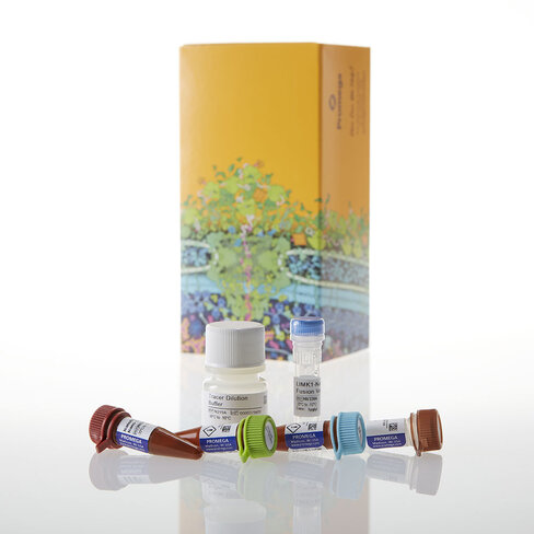 NanoBRET TE Intracell Kinase Assay K-8 1000 tests