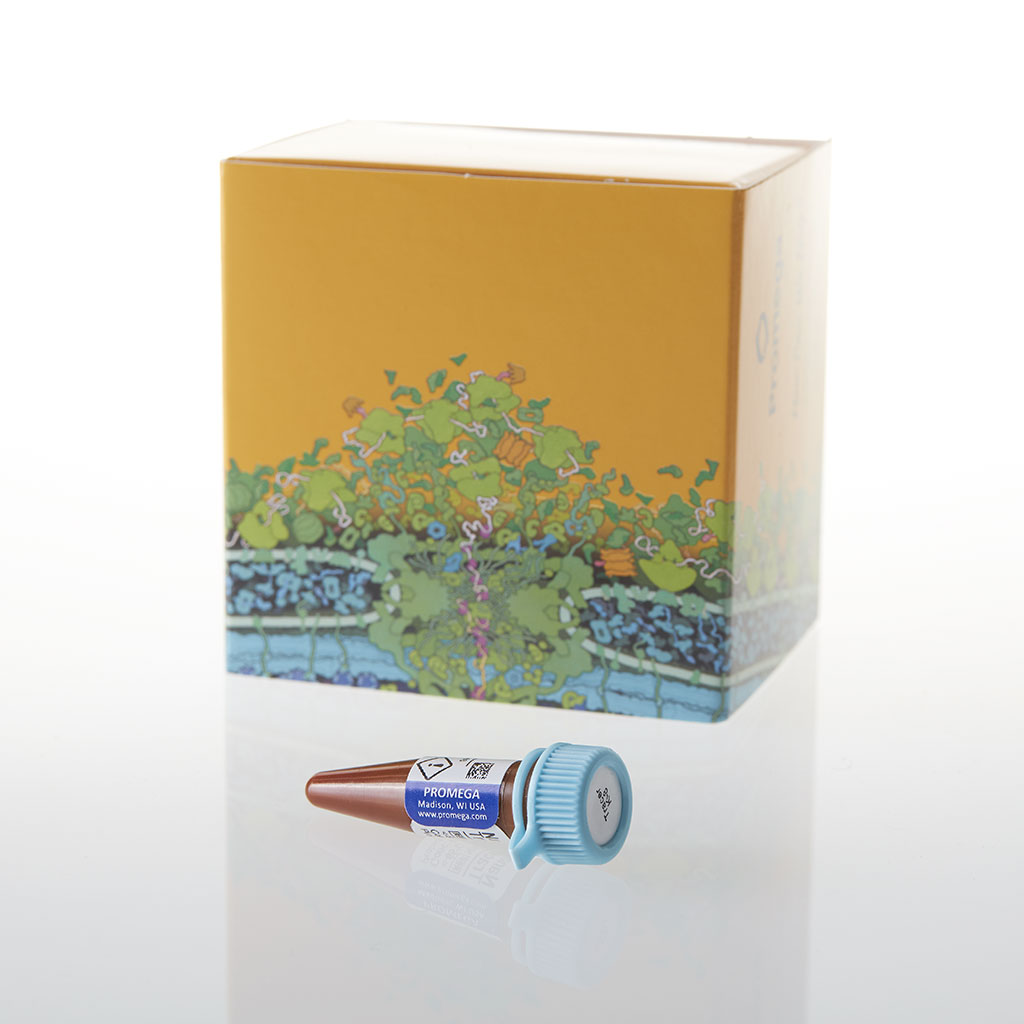 NanoBRET TE Tracer K-8, 300 µl