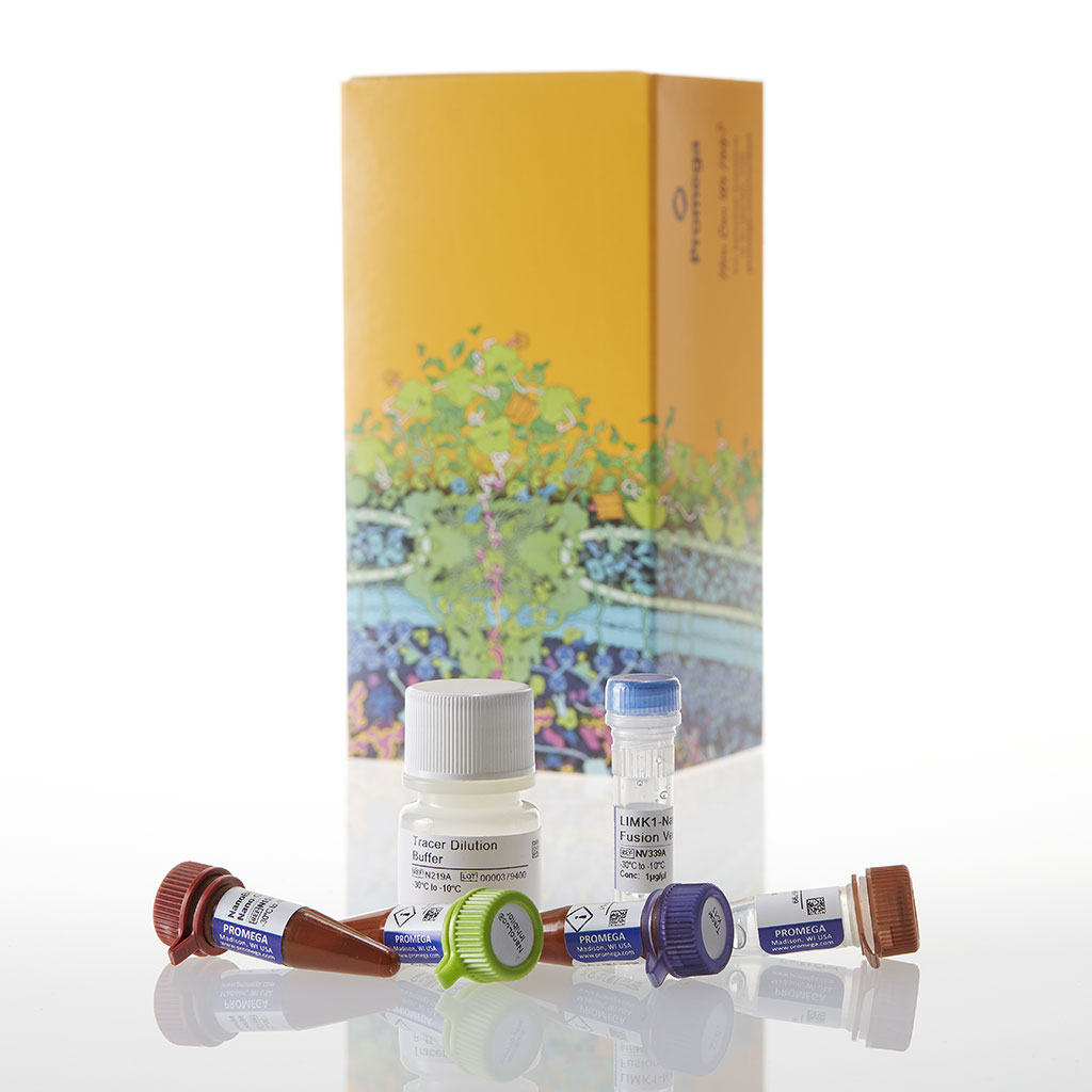 NanoBRET TE Intracell Kinase Assay K-11 100 tests