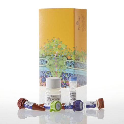 NanoBRET TE Intracell Kinase Assay K-11 1000 tests